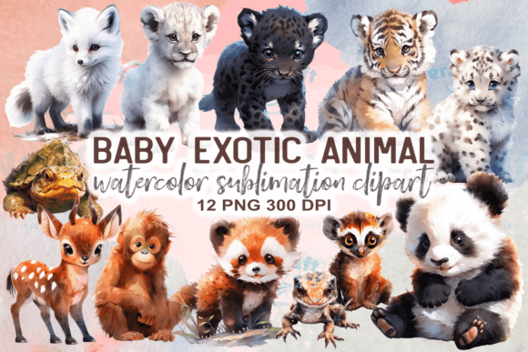 Download Watercolor Baby Exotic Animals Clipart - Exotic Collection
