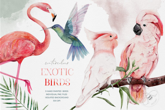 Download Watercolor Exotic Birds Tropical PNG - Exotic Collection